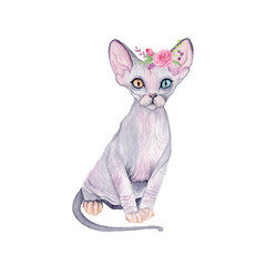 Watercolor cute cat with flowers. Watercolor graphic for fabric, postcard, greeting card, book, poster, tee-shirt. Illustration, isolated objects.