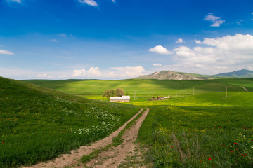 Beautiful spring and summer landscape. Mountain country road among green hills.