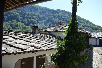 rooftops of houses in the mountain