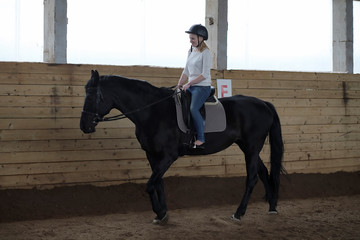 People on a horse training in a wooden arena