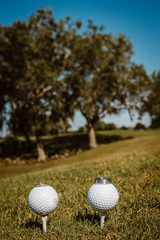 Rings on golf ball  in the wood