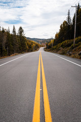 Empty road in Quebec.