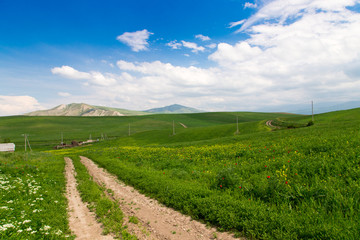 Fototapeta premium Beautiful spring and summer landscape. Mountain country road among green hills. Bright green grass.