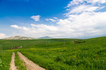 Fototapeta na wymiar Beautiful spring and summer landscape. Mountain country road among green hills. Bright green grass.