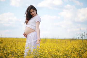 Fototapeta na wymiar Pregnant woman in a dress in a field of flowers