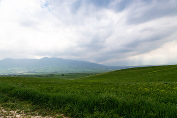 Obraz premium Beautiful spring and summer landscape. Lush green hills, high mountains. Bright green grass. Spring flowering grass.
