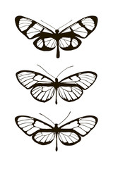 Set of three silhouettes butterflies. 