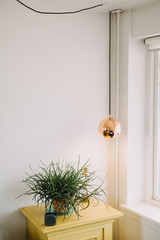 Dresser and flowerpot  in the apartment