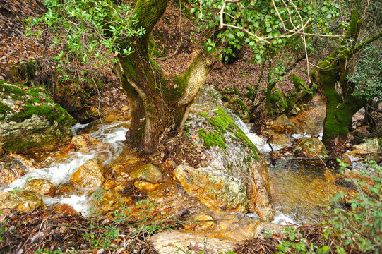 Waterfall of Chorrera de la Sierpe near Fuencaliente in the Natural Park of the Valley of Alcudia and Sierra Madrona, province of Ciudad Real Castilla la Mancha Spain