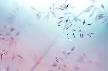 Abstract soft translucent atmospheric natural background in pastel light colors. Blooming field...