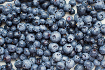 Fresh blueberry background. Summer healthy food