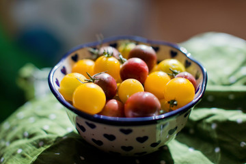 small yellow and red tomatoes