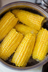 Saucepan with corn cobs on stove