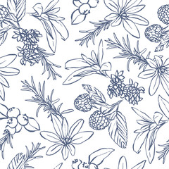 Vector herbs and berries seamless pattern. Elegant hand drawn illustration of cosmetics and medical plants. Great for organic product packaging, wallpaper and food labels.