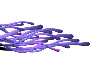 Violet lines flow on white, abstract concept