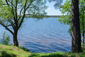 Река Волга. Лето.