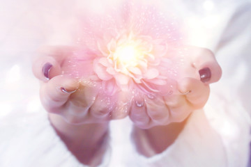 A flower with magical particles on the palms of a woman, a stream of magical energy emanating from...