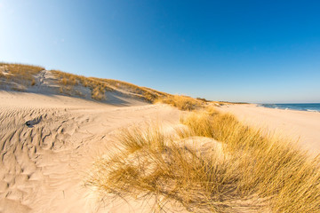 lonesome beach of the Baltic Sea