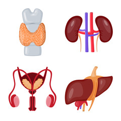 Vector design of anatomy and organ logo. Set of anatomy and medical stock symbol for web.