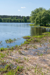 Река Донховка, впадающая в Волгу у Конаково.