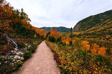 Hiking trail in the Regional Park of Hautes-Gorges of the Malbaie River at autumn time