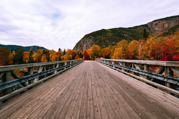 Wooden bridge in the Regional Park of Hautes-Gorges of the Malbaie River at autumn time