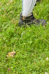 Frosch in Wiese mit Wanderschuh