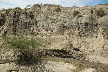 Landscape in the Tatacoa desert part Los Hoyos in Colombia