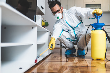 Exterminator in work wear spraying pesticide with sprayer. Selective focus.