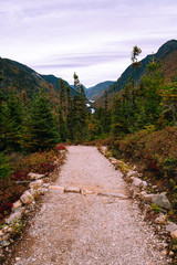 Hiking trail in the Regional Park of Hautes-Gorges of the Malbaie River at autumn time