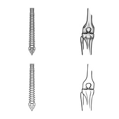 Vector illustration of medicine and clinic sign. Set of medicine and medical stock vector illustration.