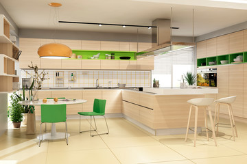Modern house kitchen interior