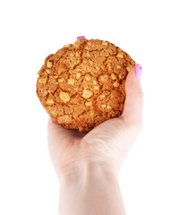 Cookies in hand on a white background