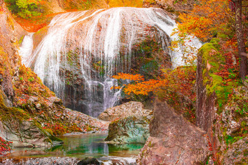 Fototapeta premium Waterfall among many foliage, In the fall leaves Leaf color change In Yamagata, Japan.Onsen atmosphere.