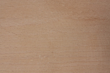 brown beech wood texture