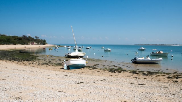 bateaux au repos