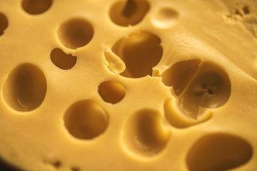 Dutch Hard Cheese Maasdam