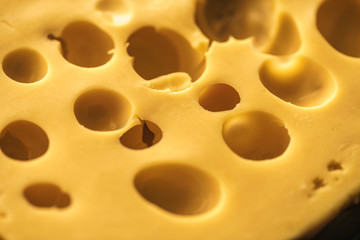 Dutch Hard Cheese Maasdam
