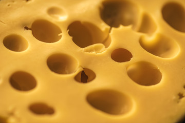 Dutch Hard Cheese Maasdam