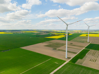 Wiatrak wiatraki elektrownia wiatrowa rzepak pole © Dariusz