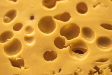 Dutch Hard Cheese Maasdam