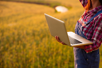 Female farmer using laptop computer in gold wheat crop field, concept of modern smart farming by...