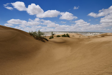 Kazakhstan,.Desert landscapes, Mangystau province,