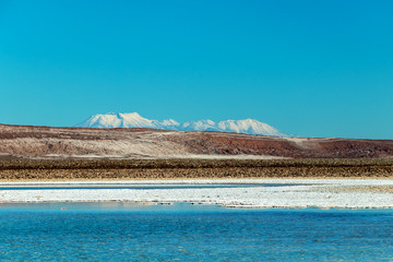 The Lagunas Escondidas (hidden altiplanic lagoons) of Baltinache : salt lakes in Salar of Atacama desert, Chile
