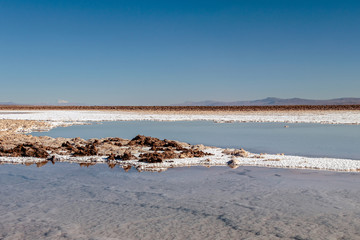 Fototapeta na wymiar The Lagunas Escondidas (hidden altiplanic lagoons) of Baltinache : salt lakes in Salar of Atacama desert, Chile