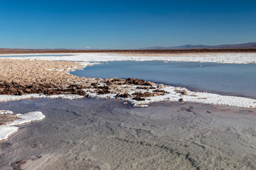 The Lagunas Escondidas (hidden altiplanic lagoons) of Baltinache : salt lakes in Salar of Atacama desert, Chile