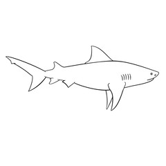Coloring book for children, shark
