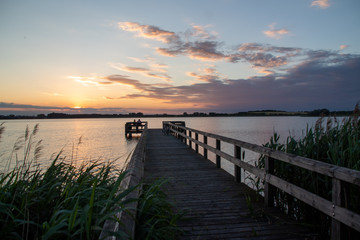 Obraz premium Holzsteg am Teterower See