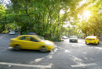 Fototapeta premium Cars pass through the forest from asphalt road
