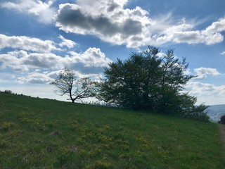 Scenic hike to the pilgrimage site Kreuzberg (Calvary) in Bavaria's Röhn (Roehn) region (Germany): panoramic views from the sacred mountain on a sunny summer day with lush green landscape & a blue sky